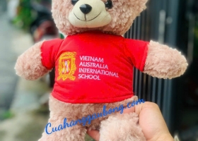 Cuahanggaubong.com sản xuất gấu bông VIETNAM AUSTRALIA INTERNATIONAL SCHOOL 