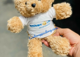Cuahanggaubong.com sản xuất 200 bé gấu bông cho Tập Đoàn Bảo Việt