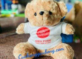 Cuahanggaubong.com thực hiện sản xuất 100 gấu bông Hieu Pham Baby and Studio