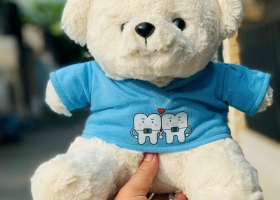 Cửa hàng gấu bông sản xuất 100 bé gấu bông theo yêu cầu của Nha Khoa Minh Châu