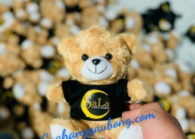 Cuahanggaubong.com hợp tác sản xuất 300 con gấu cho Sala Education