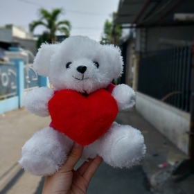 Hong thể tin được, Gấu bông ôm tim từ cuahanggaubong.com siêu ngọt ngào 