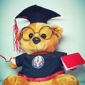 Gấu bông tốt nghiệp đại học sư phạm kỹ thuật