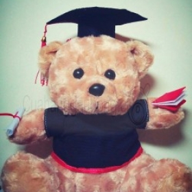 Gấu bông tốt nghiệp Dr. Teddy (45cm)