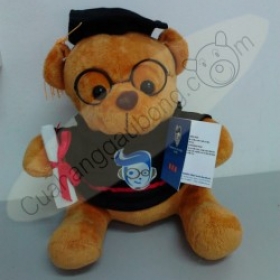 Gấu bông tốt nghiệp có in logo trường học trực tuyến sài gòn