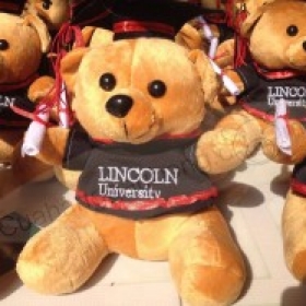 Gấu bông tốt nghiệp có thêu logo Đại Học Lincoln