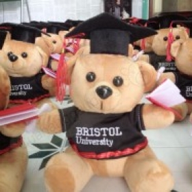 Gấu bông tốt nghiệp Bristol University