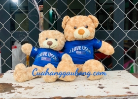 Cuahanggaubong.com đã sản xuất thành công 300 chú gấu bông quà tặng cho trường Đại học Khoa học Xã h
