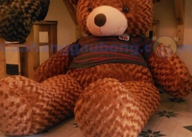 HOT! Mua Gấu Bông Teddy LỚN Tặng Gấu Bông Teddy nhỏ