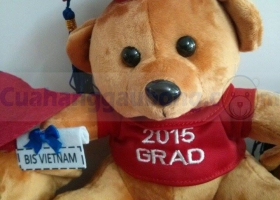 Cửa hàng gấu bông - Gấu bông tốt nghiệp British International School