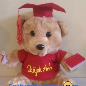 Gấu bông tốt nghiệp (35cm)