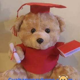 Gấu bông tốt nghiệp Teddy (45cm)