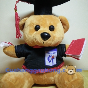 Gấu bông tốt nghiệp cđ Cao Thắng