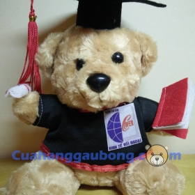 Gấu bông tốt nghiệp cđ Kinh Tế Đối Ngoại 