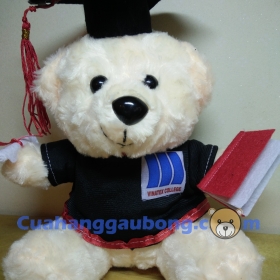 Gấu bông tốt nghiệp cđ Vinatex
