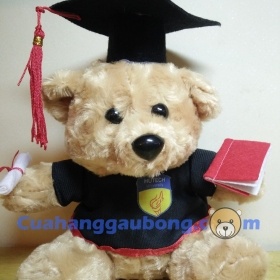 Gấu bông tốt nghiệp Đại Học Hutech
