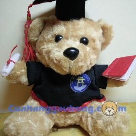 Gấu bông tốt nghiệp đh Văn Hiến