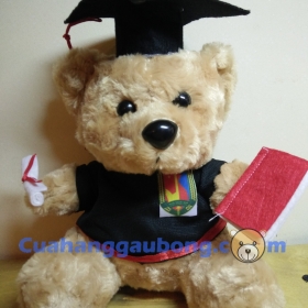 Gấu bông tốt nghiệp đh An Ninh Nhân Dân