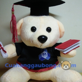 Gấu bông tốt nghiệp đh Bách Khoa 