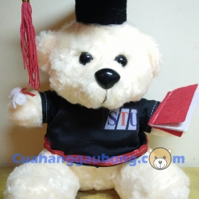 Gấu bông tốt nghiệp đh Công Nghệ Sài Gòn