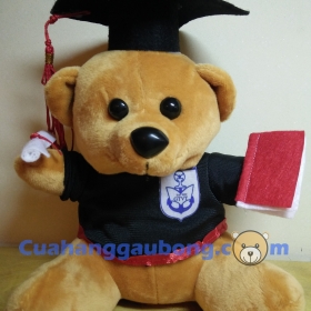 Gấu bông tốt nghiệp đh quốc tế Hồng Bàng