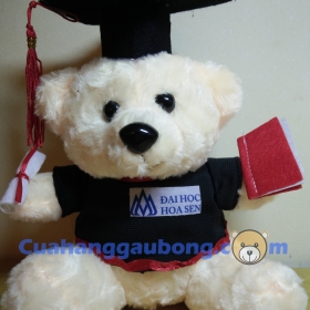 Gấu bông tốt nghiệp đh Hoa Sen