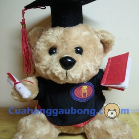 Gấu bông tốt nghiệp đh KHXH & NV 