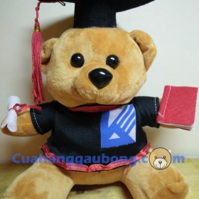 Gấu bông tốt nghiệp đh Kiến Trúc