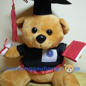 Gấu bông tốt nghiệp đh Luật