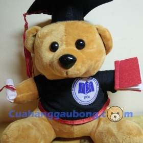 Gấu bông tốt nghiệp đh Mở