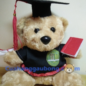 Gấu bông tốt nghiệp đh Nông Lâm