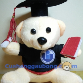 Gấu bông tốt nghiệp đh Quốc Tế 