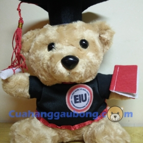 Gấu bông tốt nghiệp đh Quốc Tế Miền Đông