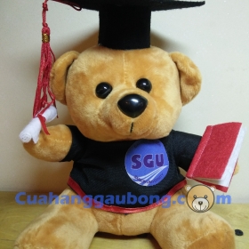 Gấu bông tốt nghiệp trường Đại học Sài Gòn