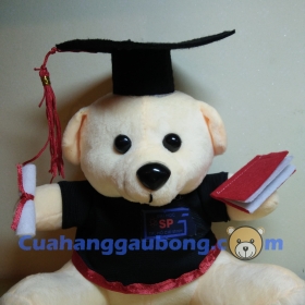 Gấu bông tốt nghiệp ĐH Sư Phạm TP.HCM