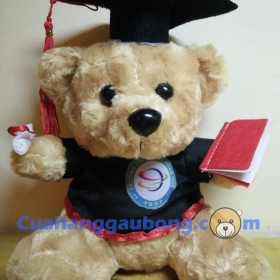 Gấu bông tốt nghiệp đh Sư Phạm Huế