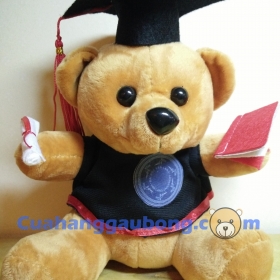 Gấu bông tốt nghiệp đh Văn Lang