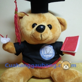 Gấu bông tốt nghiệp đh Y Dược