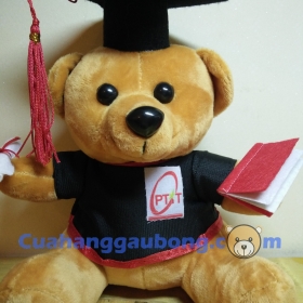 Gấu bông tốt nghiệp Học viện Bưu Chính Viễn Thông