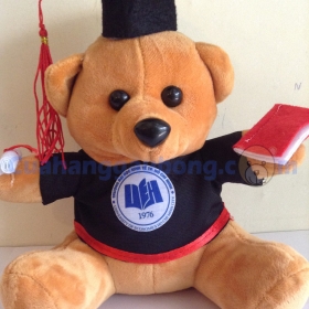 Gấu bông tốt nghiệp trường đại học Kinh tế