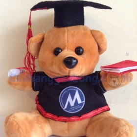 Gấu bông tốt nghiệp trương Đại học Tài chính Marketing