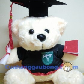 Gấu bông tốt nghiệp đh Y Phạm Ngọc Thạch