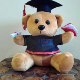 Gấu bông tốt nghiệp ĐH Sư Phạm Tp. HCM