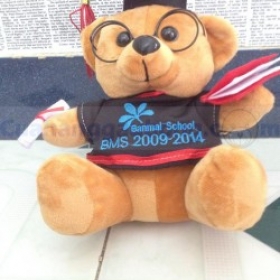 Gấu bông tốt nghiệp trường Ban Mai