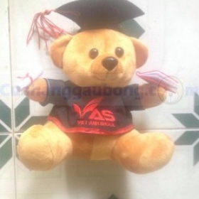 Gấu bông tốt nghiệp VAS