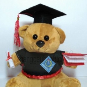 Gấu bông tốt nghiệp Đại Học Cần Thơ